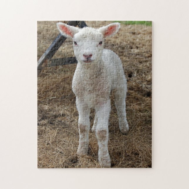 Puzzle Agneau de printemps (Vertical)