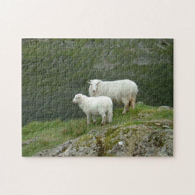 Puzzle Agneau et mouton - Campagne écossaise/britannique (Horizontal)