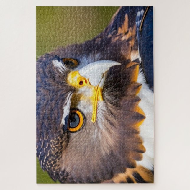 Puzzle Aigle 2 (Vertical)