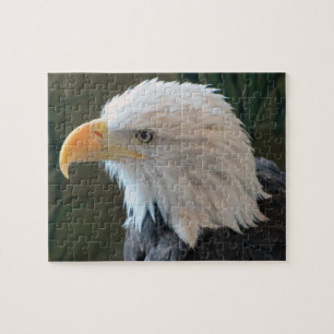 Puzzle Aigle à tête blanche américaine