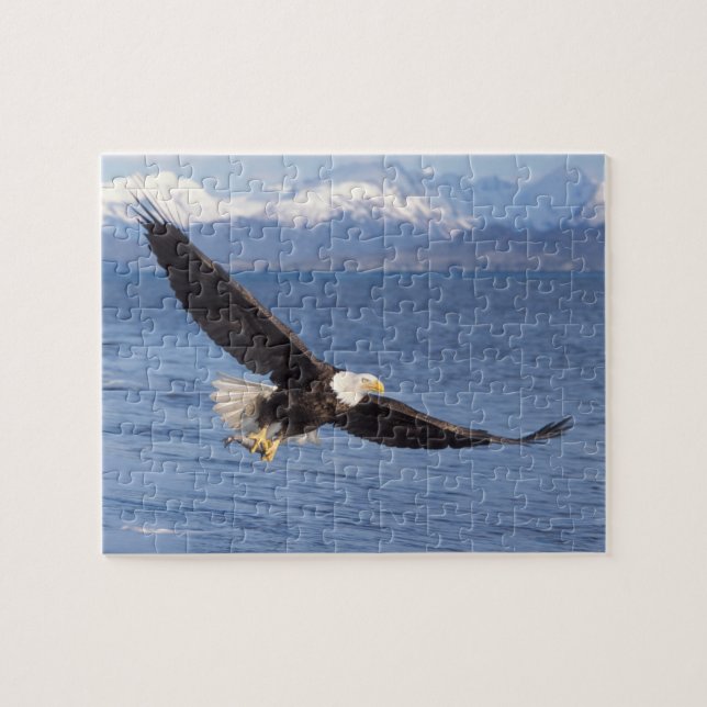 Puzzle aigle à tête blanche, Haliaeetus leucocephalus, en (Horizontal)