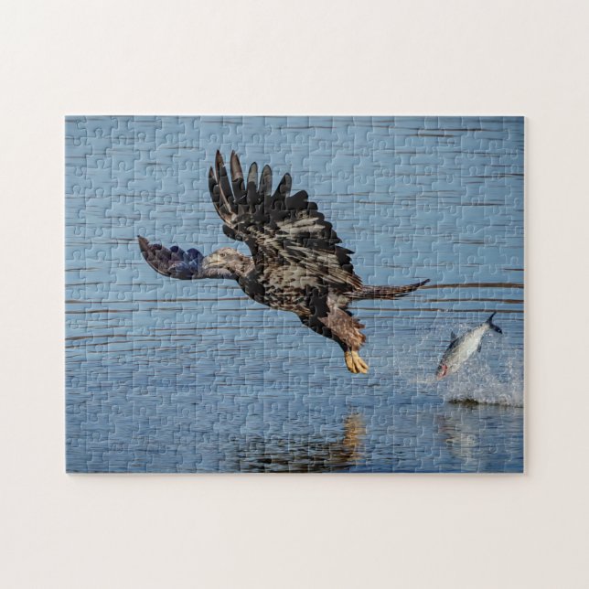 Puzzle Aigle à tête blanche immature qui dépose un poisso (Horizontal)