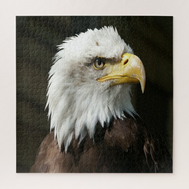 Puzzle aigle américain (Vertical)