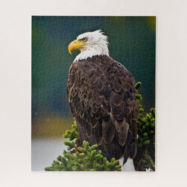 Puzzle Aigle américain perché (Vertical)