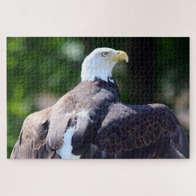 Puzzle Aigle de Bald (Horizontal)