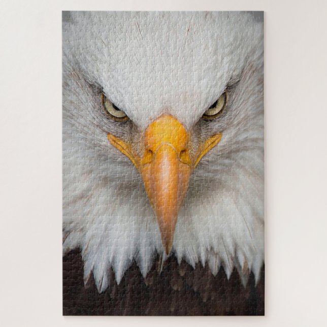 Puzzle Aigle de Bald (Vertical)