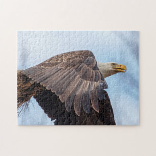 Puzzle Aigle de Bald avec une poule de foin