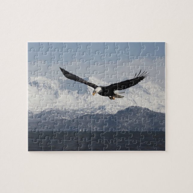Puzzle Aigle de tête en vol, Haliaeetus leucocephalus, (Horizontal)
