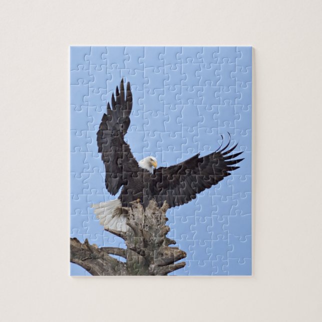 Puzzle Aigle (Haliaeetus leucocephalus) avec ailes (Vertical)