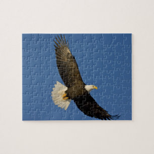 Puzzle Aigle, Haliaeetus leucocephalus, Homer,