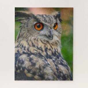 Puzzle Aigle sauvage