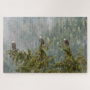 Puzzle Aigles royaux   Forêt nationale de Tongass en Alas