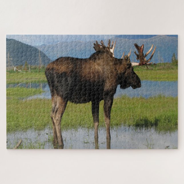 Puzzle Aiguille Alaska Avec Antlers En Rack Pittoresque E (Horizontal)