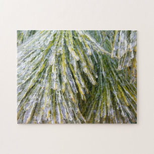 Puzzle Aiguilles de pin recouvertes de glace Botanique hi