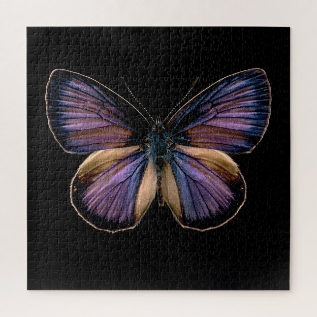 Puzzle Ailes de minuit (Vertical)