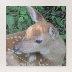 Puzzle Aimable Fawn