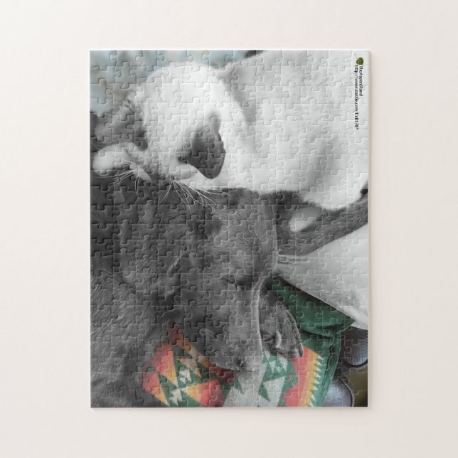 Puzzle Aimer Siamese Kitten Montres Labrador Sleep (Vertical)