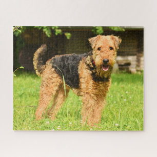 Puzzle Airedale Terrier Chien chiot