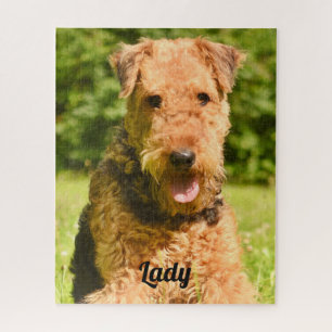 Puzzle Airedale Terrier Chien chiot