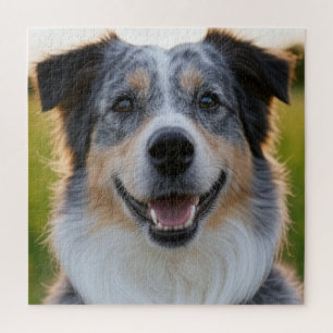 Puzzle Ajouter une photo de l'animal personnaliser