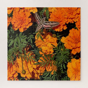 Puzzle Ajouter Votre Photo Sphinx Moth Sur Orange Marigol