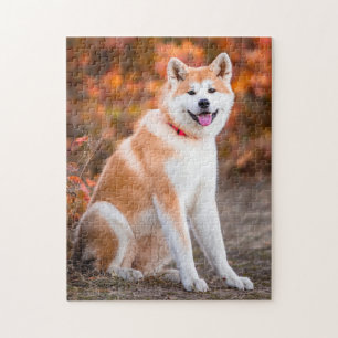Puzzle Akita assise