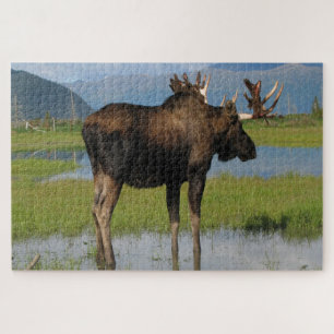 Puzzle Alaska Bull Moose With Rack Antlers Scenic Outdoor