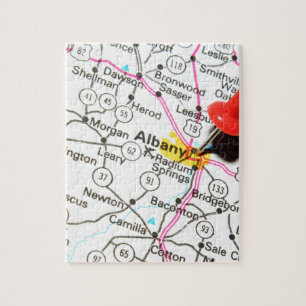 Puzzle Albany, New York