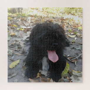 Puzzle Alerte chiot mignon