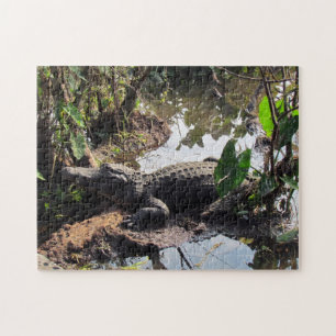 Puzzle Alligator