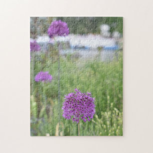 Puzzle Allium Flowers Stratford-Upon-Avon Warwickshire UK