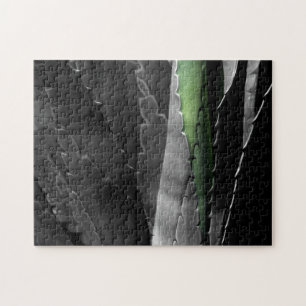 Puzzle Aloe - Photographie de Macro Art en noir et blanc
