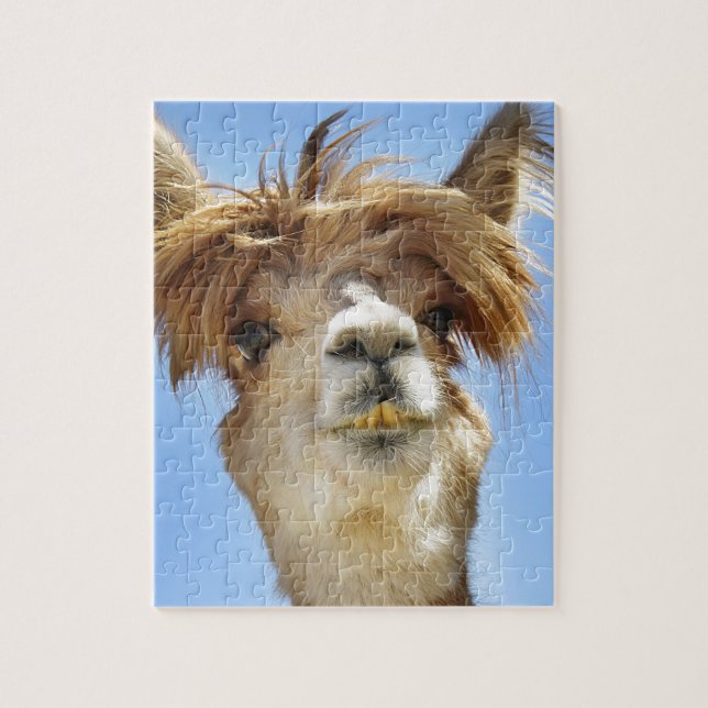 Puzzle Alpaga avec les cheveux fous (Vertical)