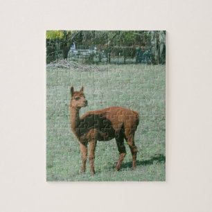 Puzzle - alpaga Brown dans le domaine