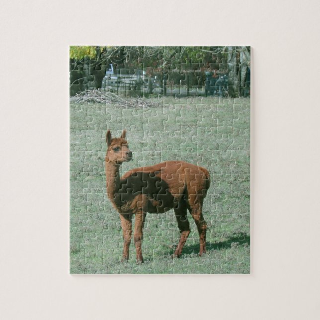 Puzzle - alpaga Brown dans le domaine (Vertical)