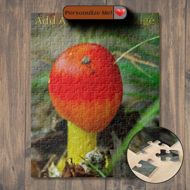 Puzzle Amanite de César de l'Est (Eastern Caesar's Amanita Jigsaw Puzzle)
