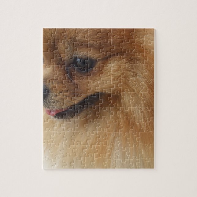 Puzzle Amant de Pomeranian (Vertical)