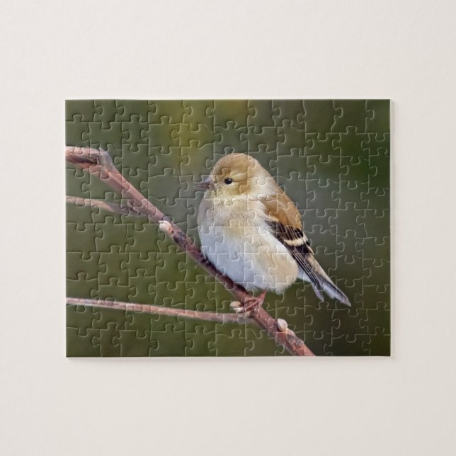 Puzzle Américain Goldfinch (Horizontal)