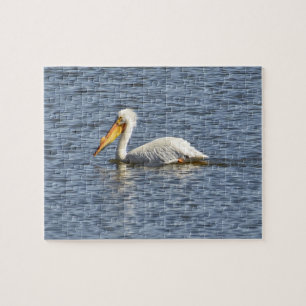 Puzzle Américain Pélican