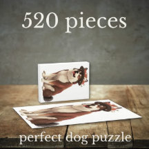 American Akita chien de Fairy conte livre 1