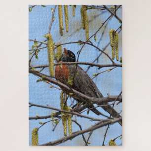 Puzzle American Robin perché sur une branche avec des cha