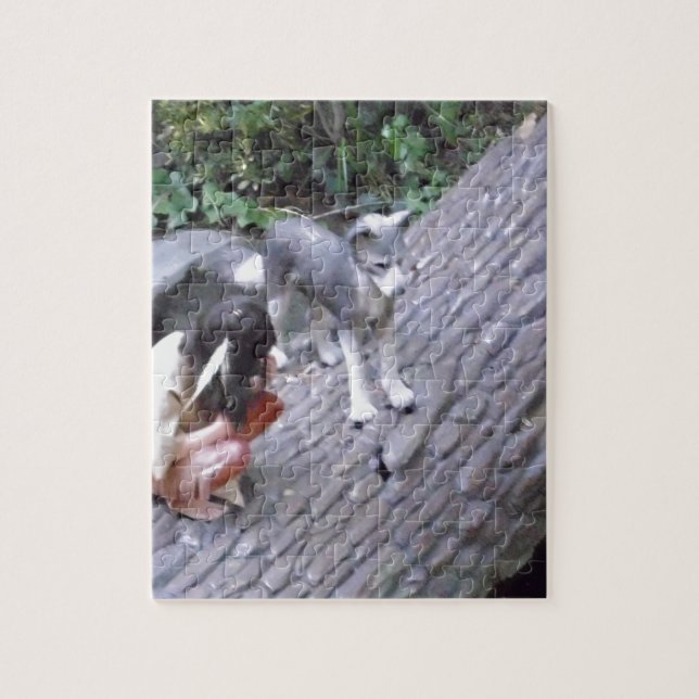 Puzzle Amérindien Boy avec l'image de Wolf (Vertical)