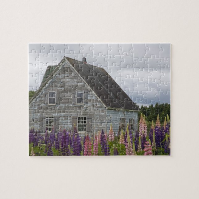 Puzzle Amérique du Nord, Canada, Île-du-Prince-Édouard, (Horizontal)