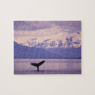 Puzzle Amérique du Nord, États-Unis, Alaska, Passage inté