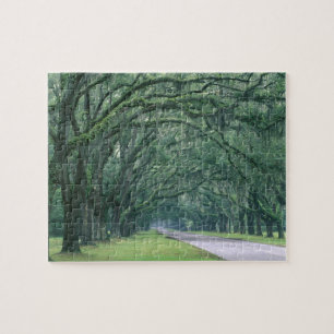 Puzzle Amérique du Nord, États-Unis, Géorgie, Savannah
