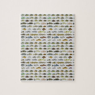 Puzzle Amérique du Nord Groupe de poissons d'eau douce