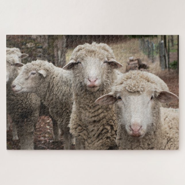 Puzzle Amis du mouton (Horizontal)