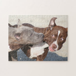 Puzzle Amis en jeu - Chiots de Pitbull