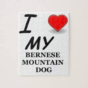 Puzzle amour de bernois