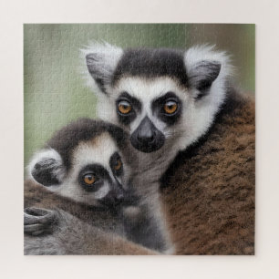 Puzzle **"Amour de la mère : Mummy and Baby Lemur Cuddlin